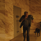 Illustration for article titled I Think Replicants Ate Rick Deckard's Dog in Blade Runner 2049